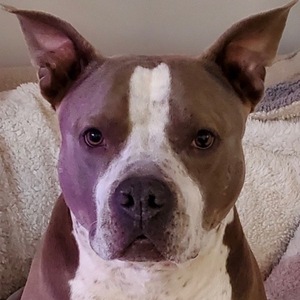 Fundraising Page: Tina Wyzisk